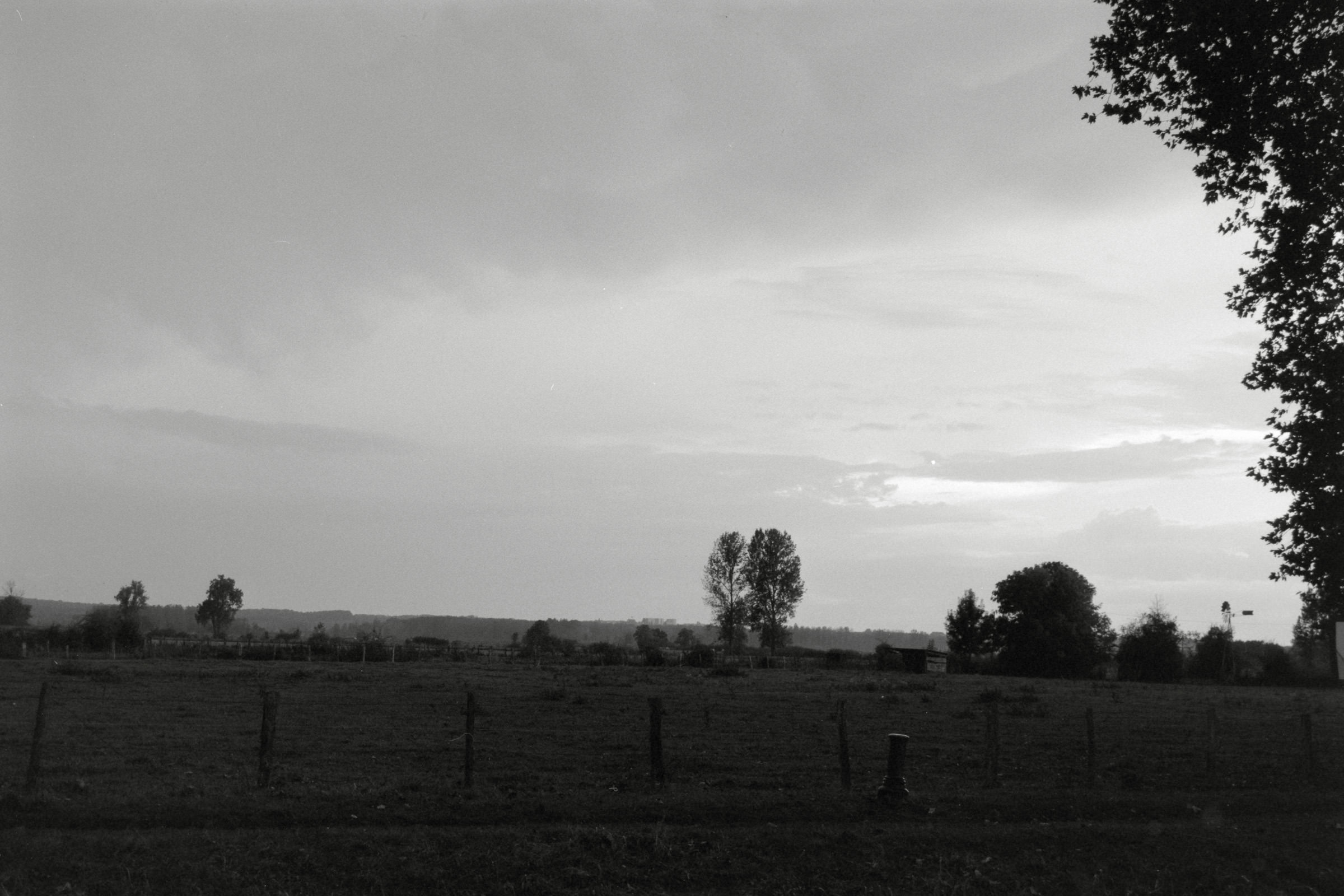 AHP F1990 09 004 sc250506 img18 NLP